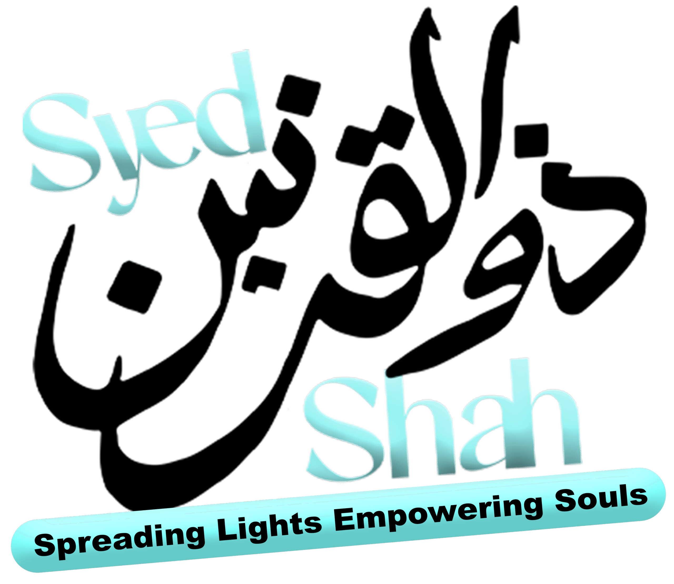 Syed Zulqarnain Ashraf